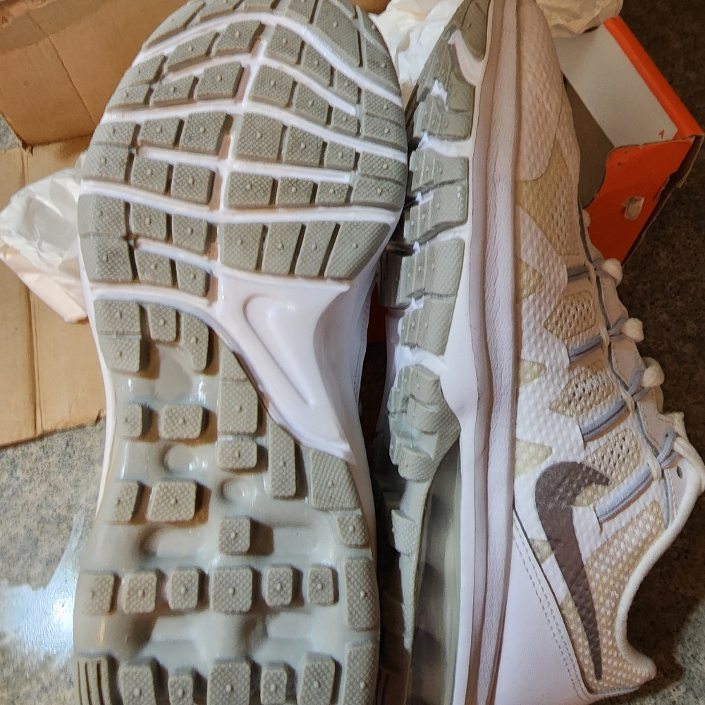 the dynasty of nike air